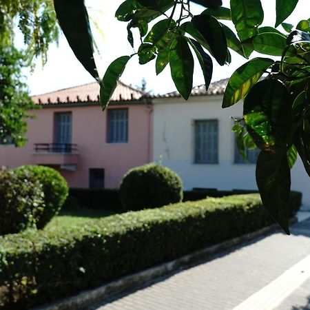 Aggelis Traditional Appartment EEsparta Exterior foto